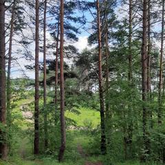  Эко-Резиденция Троица, Удомельский район, Тверская область