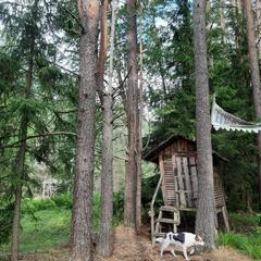  Эко-Резиденция Троица, Удомельский район, Тверская область