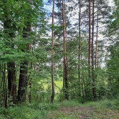  Эко-Резиденция Троица, Удомельский район, Тверская область