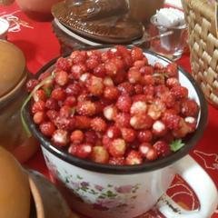  Эко-Резиденция Троица, Удомельский район, Тверская область