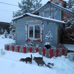  Эко-Резиденция Троица, Удомельский район, Тверская область