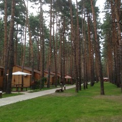 База отдыха Чайка, Урюпинск, Волгоградская область