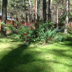 База отдыха Чайка, Урюпинск, Волгоградская область