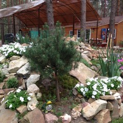 База отдыха Чайка, Урюпинск, Волгоградская область