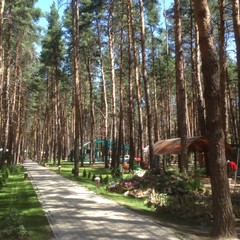 База отдыха Чайка, Урюпинск, Волгоградская область