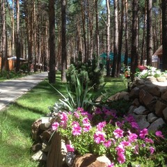 База отдыха Чайка, Урюпинск, Волгоградская область