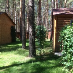 База отдыха Чайка, Урюпинск, Волгоградская область