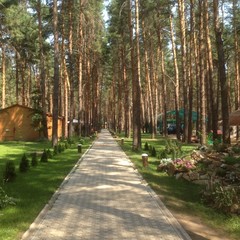 База отдыха Чайка, Урюпинск, Волгоградская область