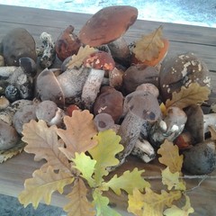 База отдыха Чайка, Урюпинск, Волгоградская область