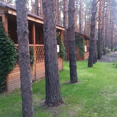 База отдыха Чайка, Урюпинск, Волгоградская область