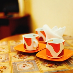 Гостиница Уссурийск, Уссурийск, Приморский край