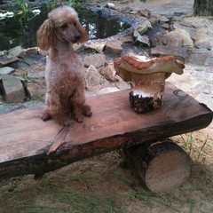 База отдыха Чайка, Урюпинск, Волгоградская область