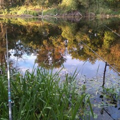 База отдыха Чайка, Урюпинск, Волгоградская область