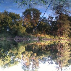 База отдыха Чайка, Урюпинск, Волгоградская область