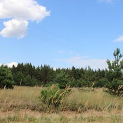 База отдыха Чайка, Урюпинск, Волгоградская область