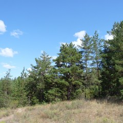 База отдыха Чайка, Урюпинск, Волгоградская область