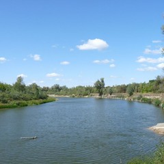 База отдыха Чайка, Урюпинск, Волгоградская область