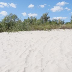 База отдыха Чайка, Урюпинск, Волгоградская область