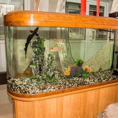 Гостиница Юбилейная, Уссурийск, Приморский край