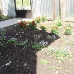 Гостевой дом Легенда, Усть-Кокса, Республика Алтай