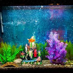 Гостиница Севен, Уссурийск, Приморский край