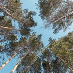 Дом Таежное лукошко, Утулик, Иркутская область