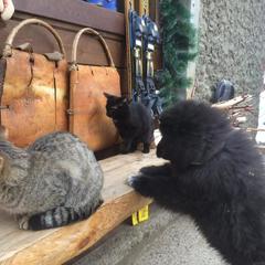 Гостевой дом Байкал Йети, Утулик, Иркутская область