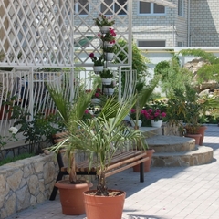 Гостиница Sun City, Феодосия, Крым