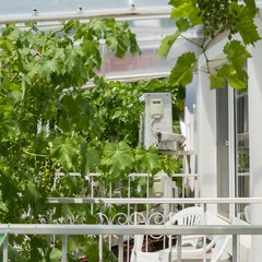 Гостевой дом На Украинской, Феодосия, Крым