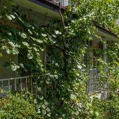 Гостевой дом На Украинской, Феодосия, Крым