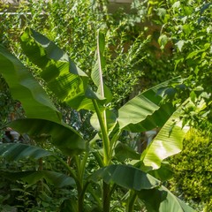 Гостевой дом На Украинской, Феодосия, Крым