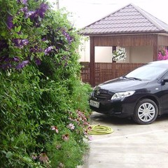 Гостевой дом Гулливер, Феодосия, Крым