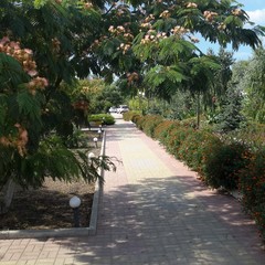 База отдыха Запорожская сечь, Феодосия, Крым