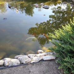 База отдыха Запорожская сечь, Феодосия, Крым