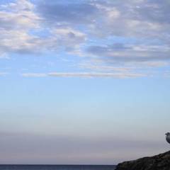 Гостевой дом Чайка, Форос, Крым