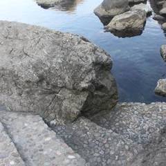 Гостевой дом Чайка, Форос, Крым