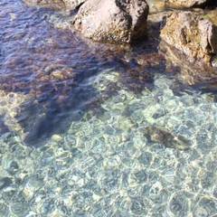 Гостевой дом Чайка, Форос, Крым