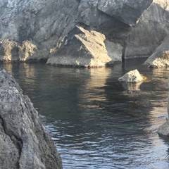 Гостевой дом Чайка, Форос, Крым