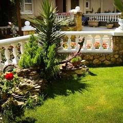 Гостевой дом Чайка, Форос, Крым