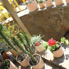 Гостевой дом Чайка, Форос, Крым