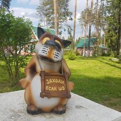 Эко-отель MB-Resort, Фрязино, Московская область