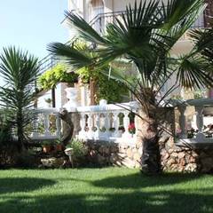 Гостевой дом Чайка, Форос, Крым