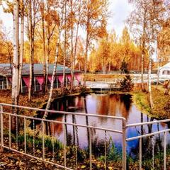 Эко-отель MB-Resort, Фрязино, Московская область