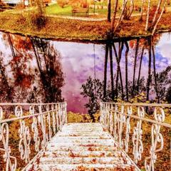 Эко-отель MB-Resort, Фрязино, Московская область