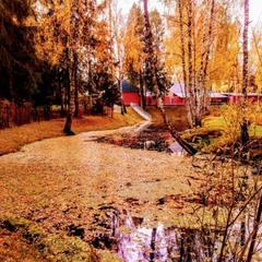 Эко-отель MB-Resort, Фрязино, Московская область