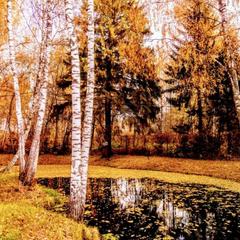 Эко-отель MB-Resort, Фрязино, Московская область