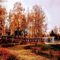 Эко-отель MB-Resort, Фрязино, Московская область