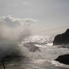 Гостевой дом Чайка, Форос, Крым