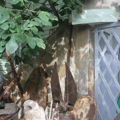 Гостевой дом Чайка, Форос, Крым