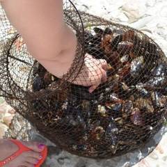 Гостевой дом Чайка, Форос, Крым